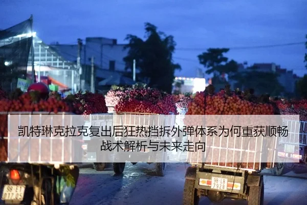 kai-te-lin-ke-la-ke-fu-chu-hou-kuang-re-dang-chai-wai-dan-ti-xi-wei-he-chong-huo-shun-chang-zhan-shu-jie-xi-yu-wei-lai-2-472.jpg